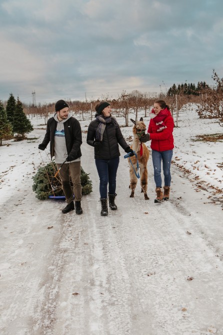 Verger Champêtre: Granby
Orchard
Apple
Animals
Family
Outside
Activities
Christmas
Winter