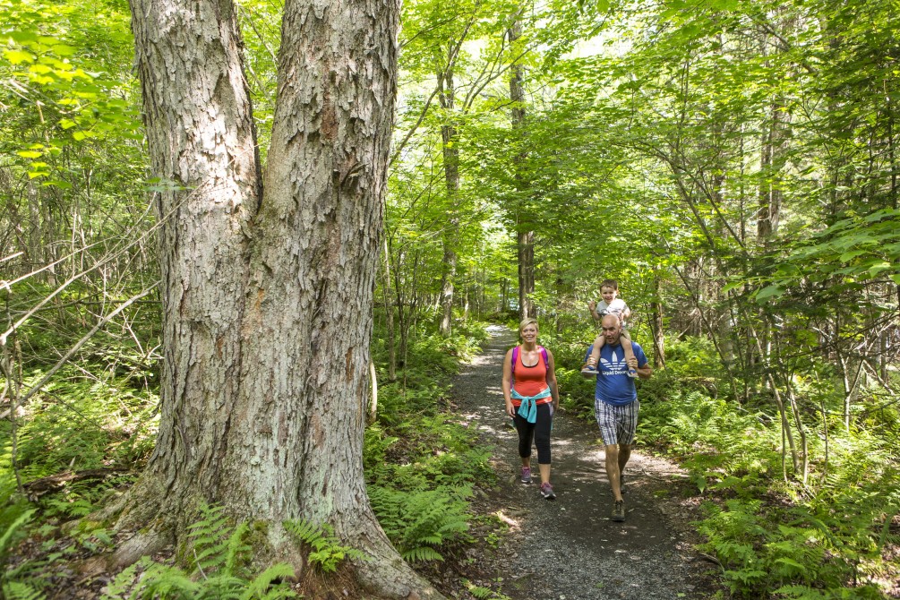 Hiking: