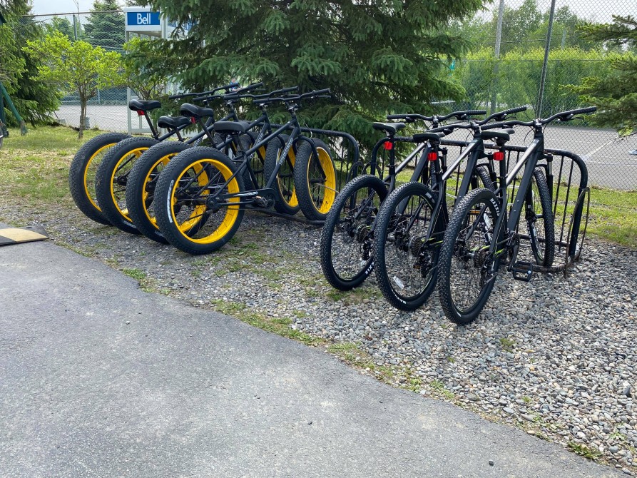 Mountain bike and fatbike rental :