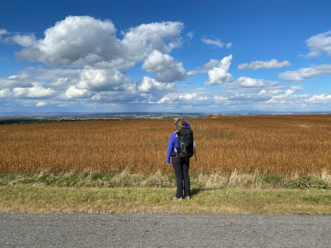 When the horizon his large: Let yourself be charmed by our region, both forest and agricultural.