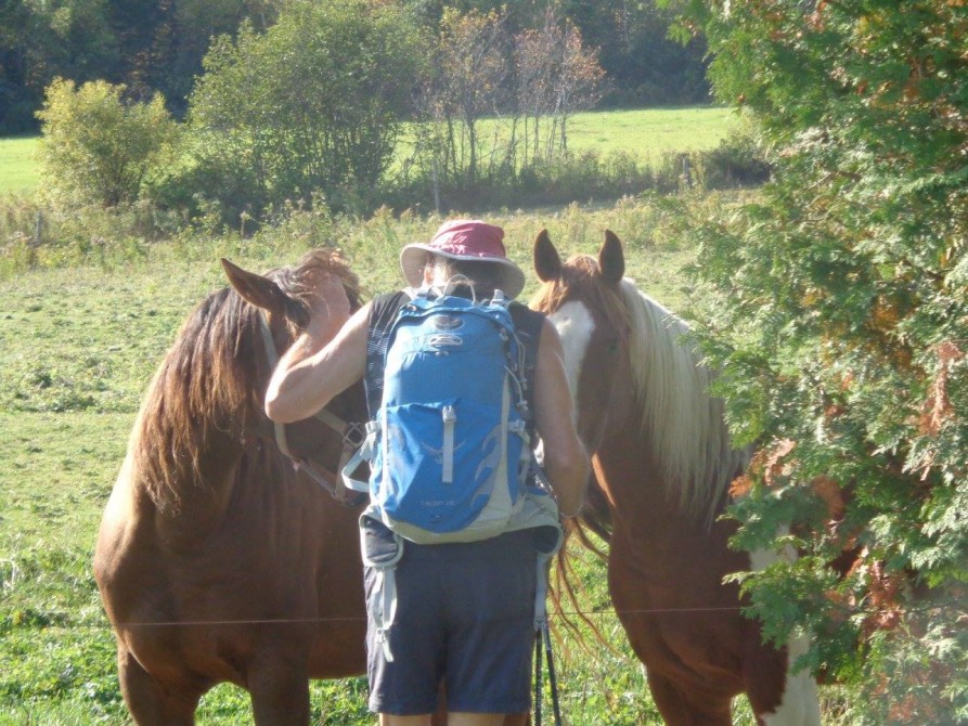 Moment of meditation: Walk at your own pace as you organize your stay.