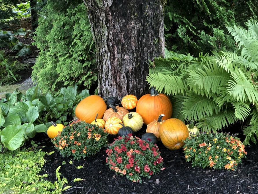 seasonal harvest: early fall scenery
