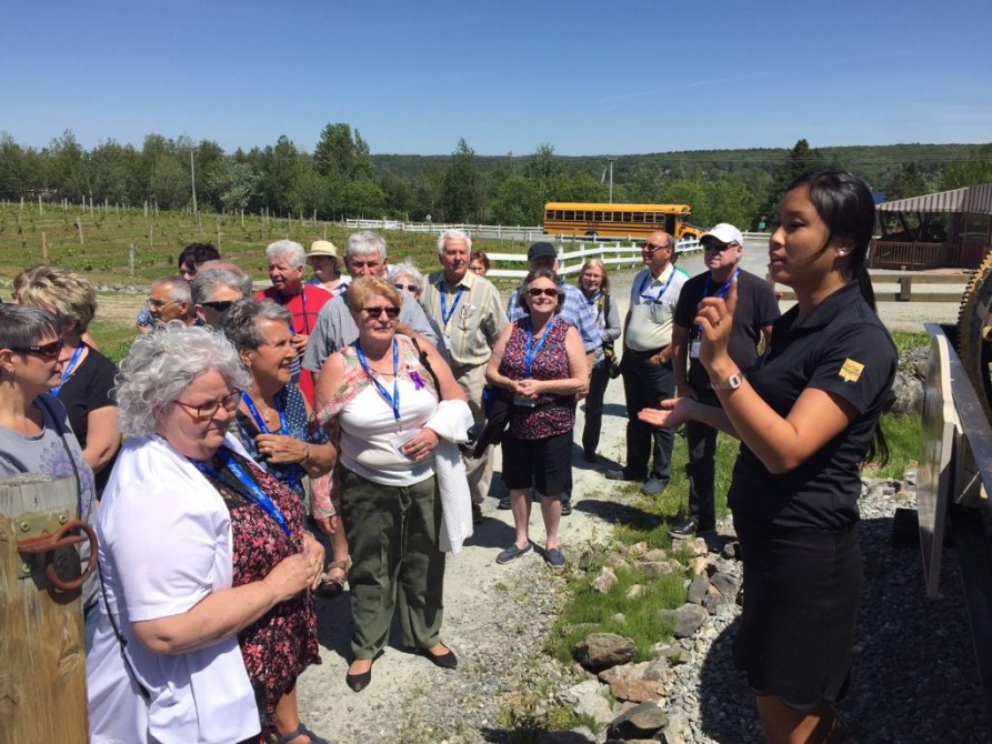 Guided tour for groups: