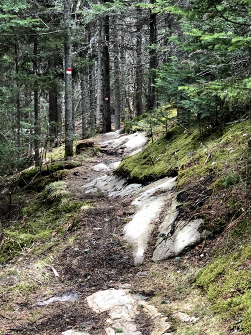 Sentier des Urubus: