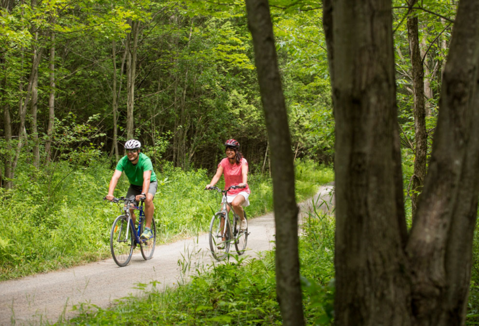 bike:
