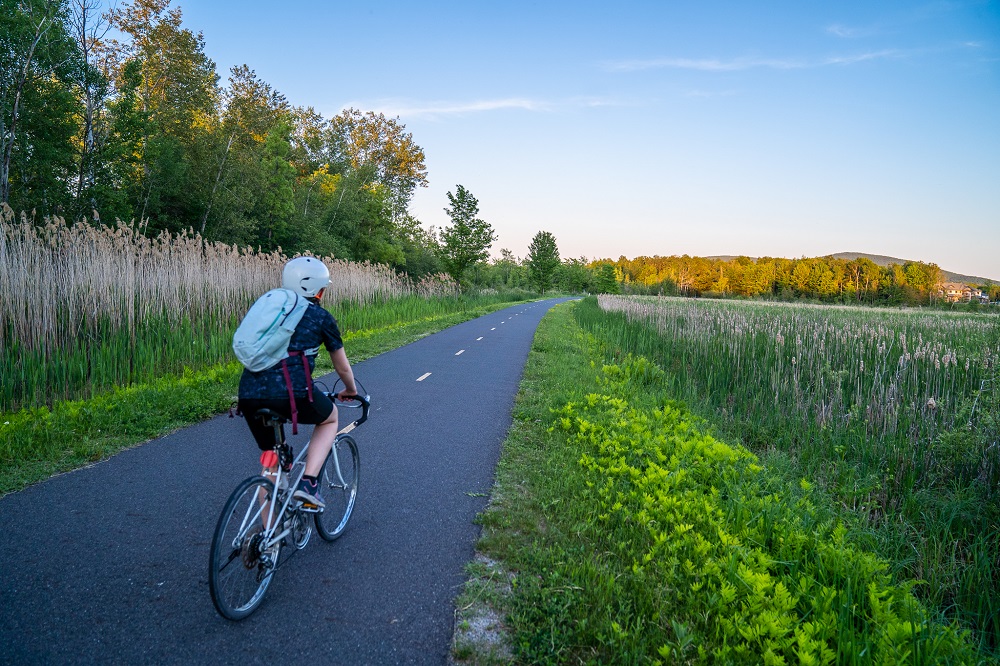 bike: