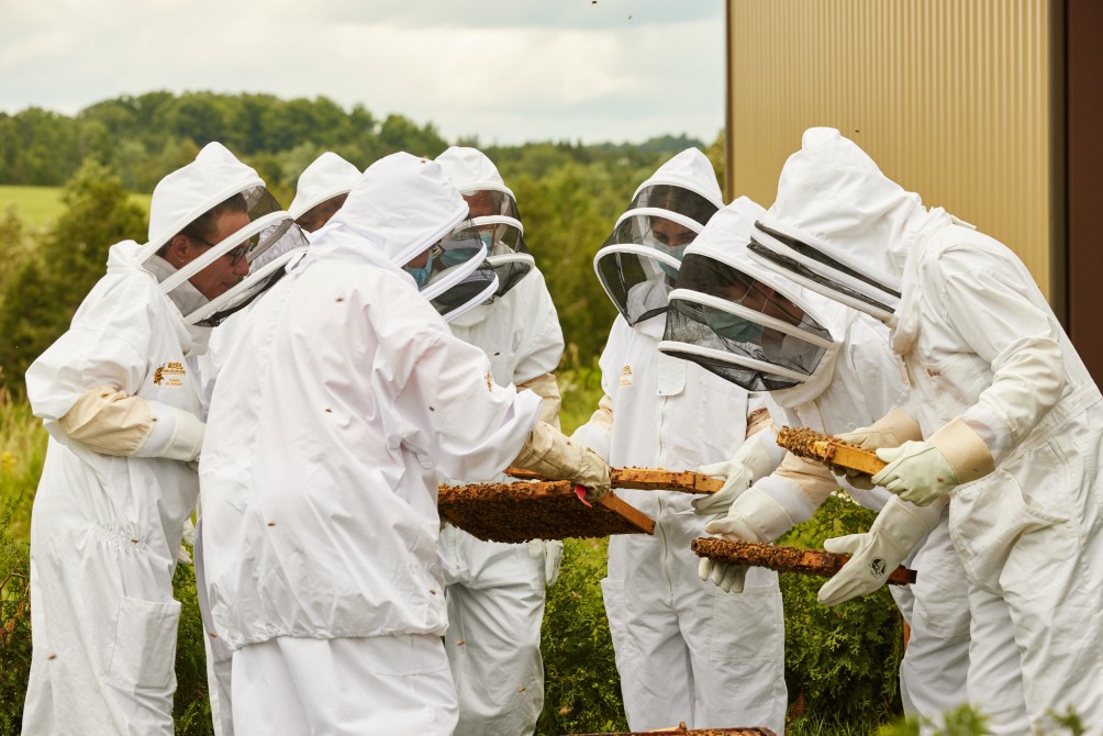 guide tour : guided tour budding beekeeper