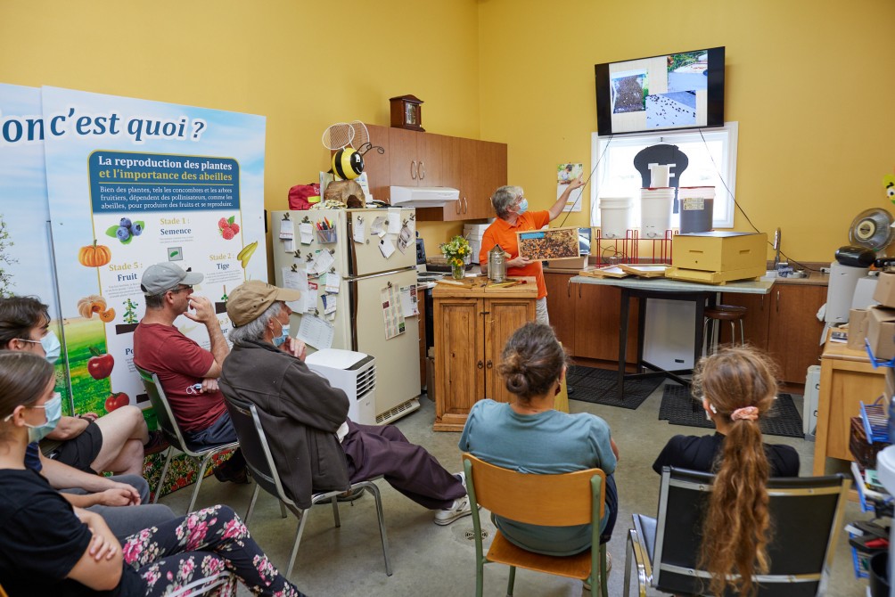 Part 1 of the guide tour: Introduction to the world of bees