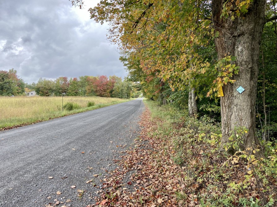 Circuit de l'Abbaye Long hike route SaintBenoîtduLac Eastern