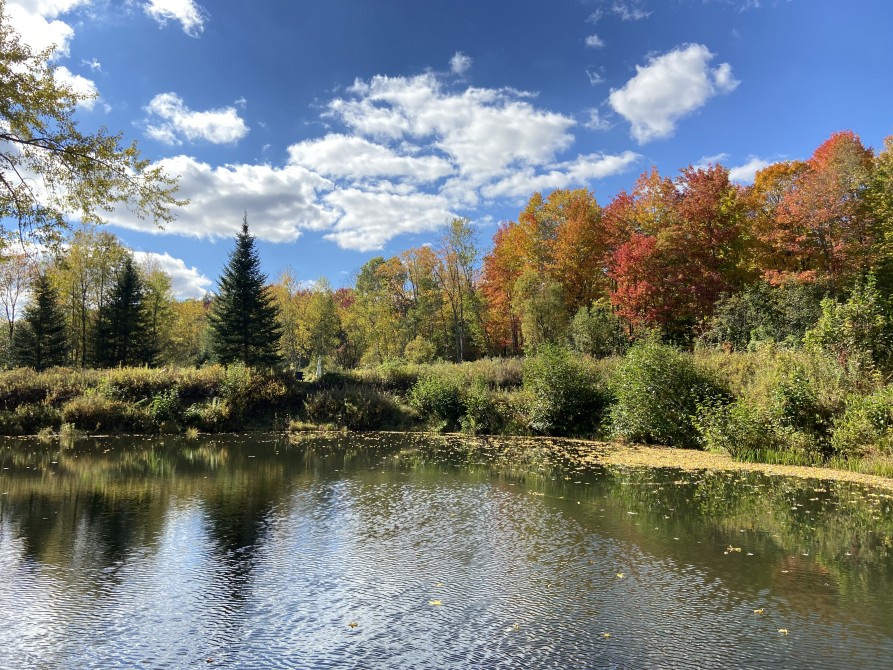 Missisquoi Nord – Backcountry pathways: River section