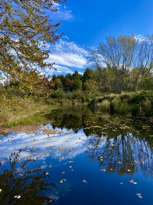 Missisquoi Nord – Backcountry pathways: River section