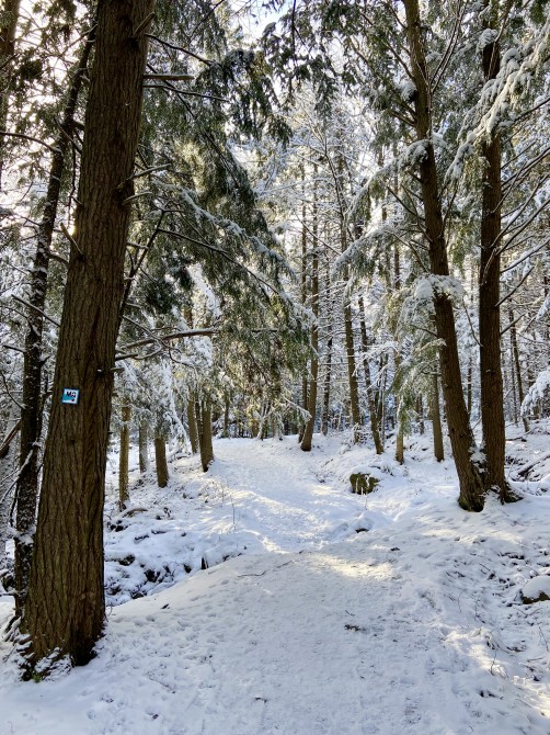 Missisquoi Nord - Path of the valley: Old orchard trail