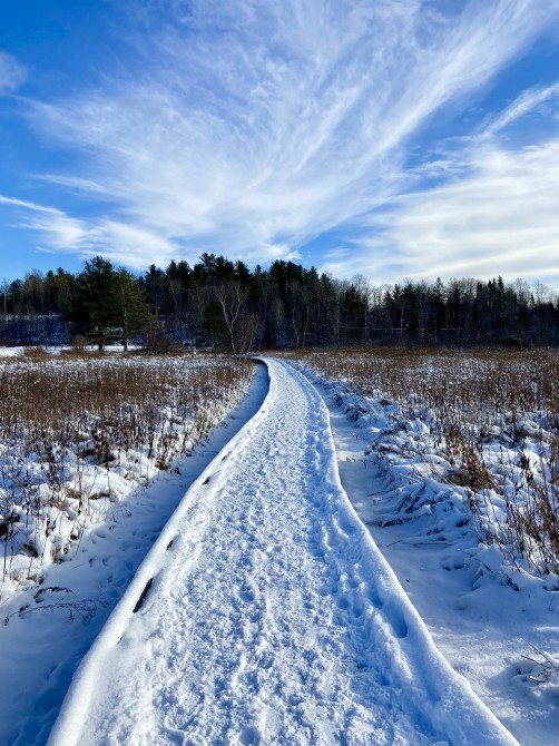 Missisquoi Nord - Path of the valley: Old orchard trail