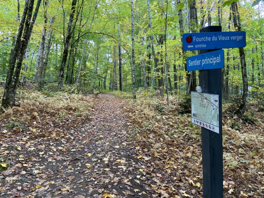 Missisquoi Nord - Path of the valley: Old orchard trail