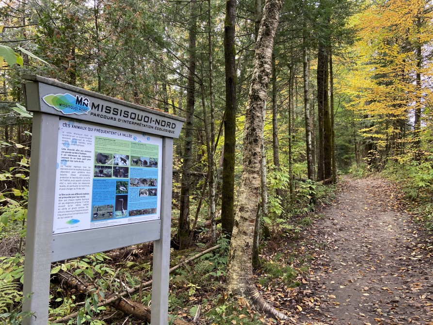 Missisquoi Nord - Path of the valley: Old orchard trail