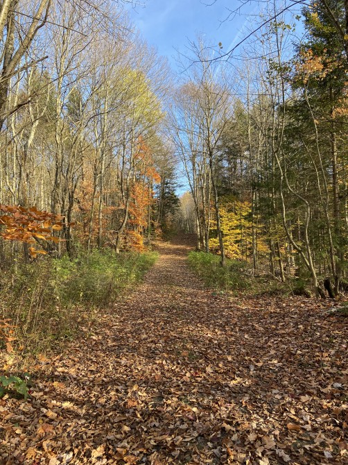 Missisquoi Nord - Path of the valley: A trail of two cities