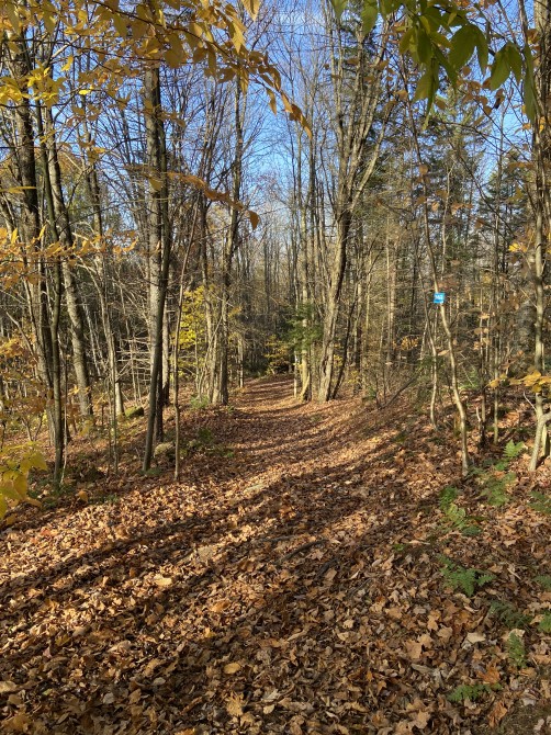 Missisquoi Nord - Path of the valley: A trail of two cities