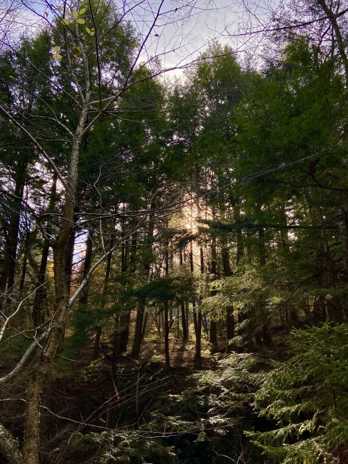 Missisquoi Nord – Backcountry pathways: Louise's Fall trail