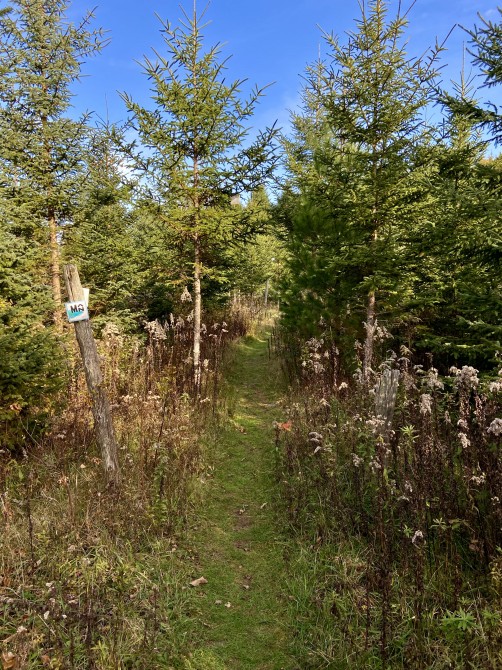 Missisquoi Nord – Backcountry pathways: Louise's Fall trail