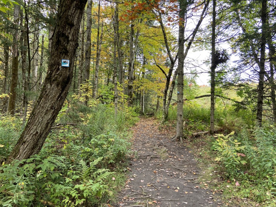 Missisquoi Nord – Backcountry pathways: Riverside Trail