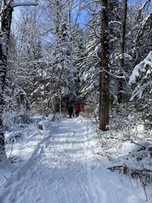 Missisquoi Nord – Backcountry pathways: Riverside Trail