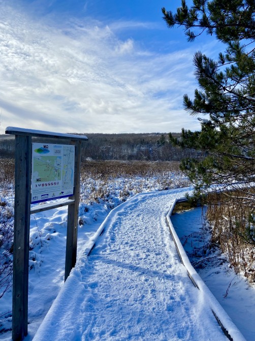 Missisquoi Nord – Backcountry pathways: Riverside Trail