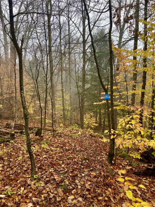 Missisquoi Nord – Backcountry pathways: Stream and Waterfall Trail