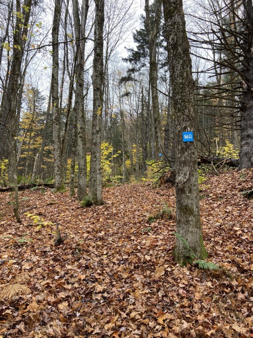 Missisquoi Nord – Backcountry pathways: Stream and Waterfall Trail