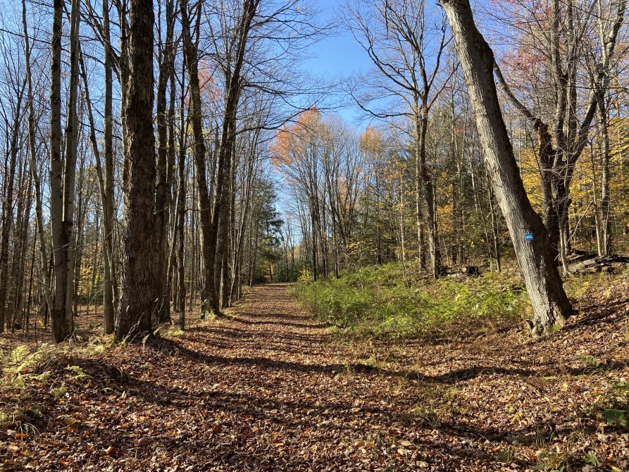 Missisquoi Nord – Backcountry pathways: Town & Mountain Trail