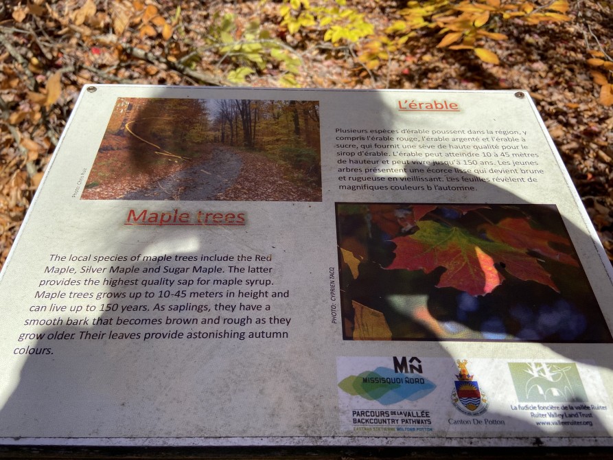 Missisquoi Nord – Backcountry pathways: Town & Mountain Trail