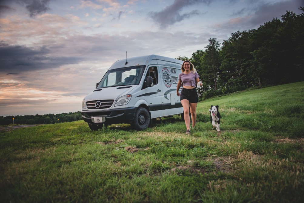 Outfited van with a dog: