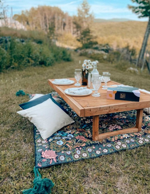 Luxe Picnic: