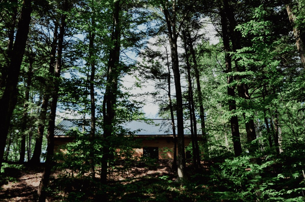 Studio Welmo: The studio deep in the woods.