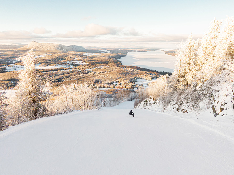 Destination_Owls_Head: