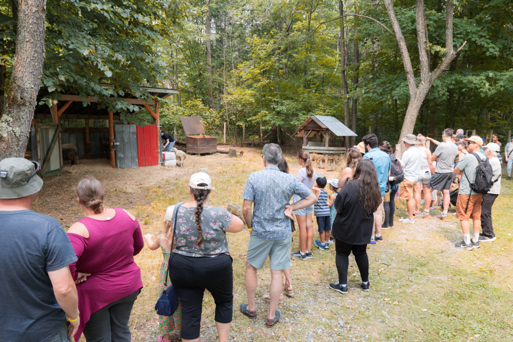 Moulin à laine d'Ulverton: