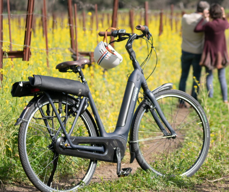 Léon Courville vigneron: