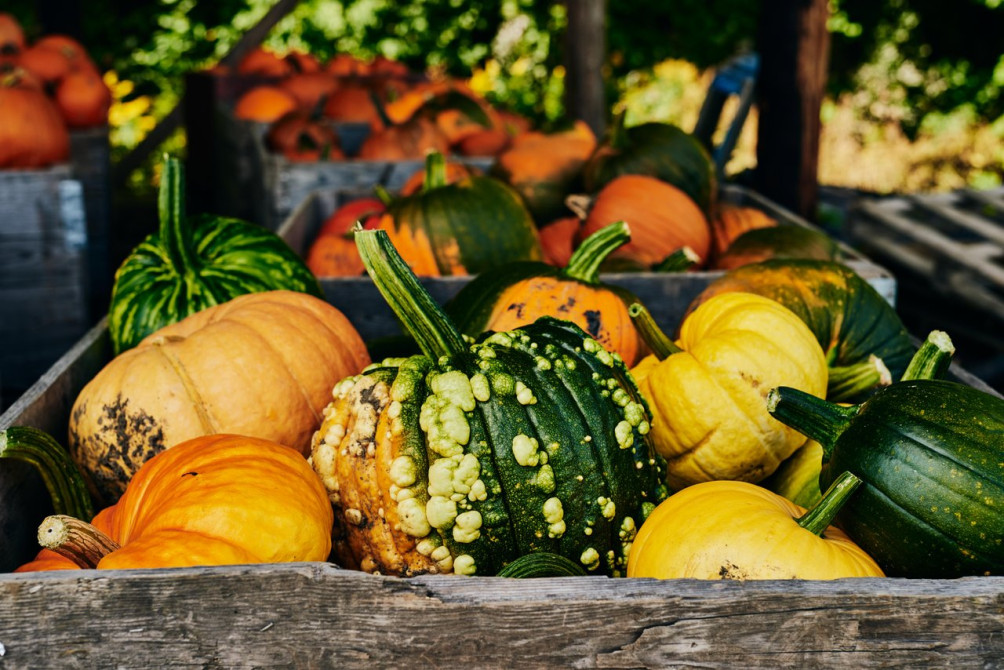 Verger Le Gros Pierre: