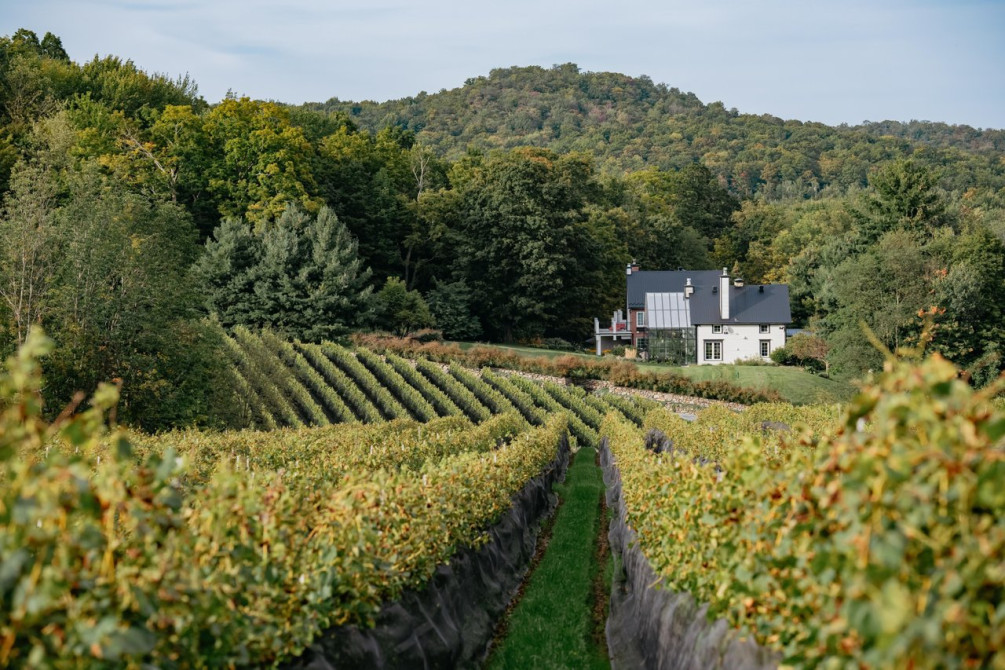 Le Vignoble du Ruisseau: