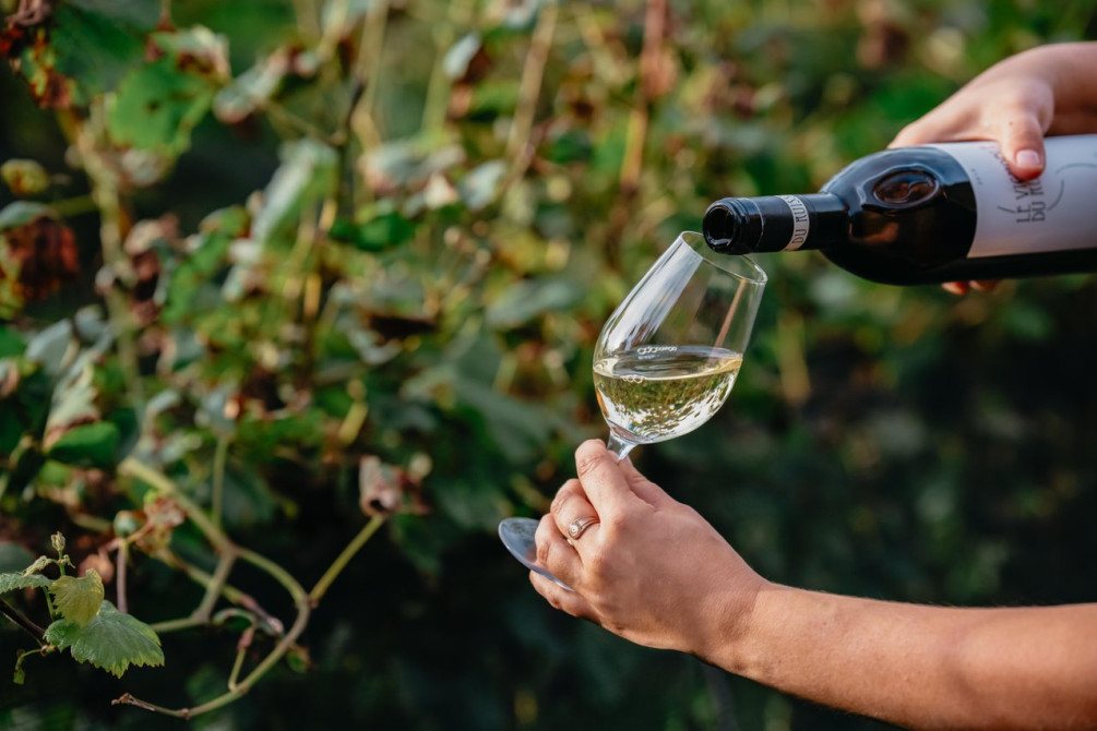 Le Vignoble du Ruisseau: