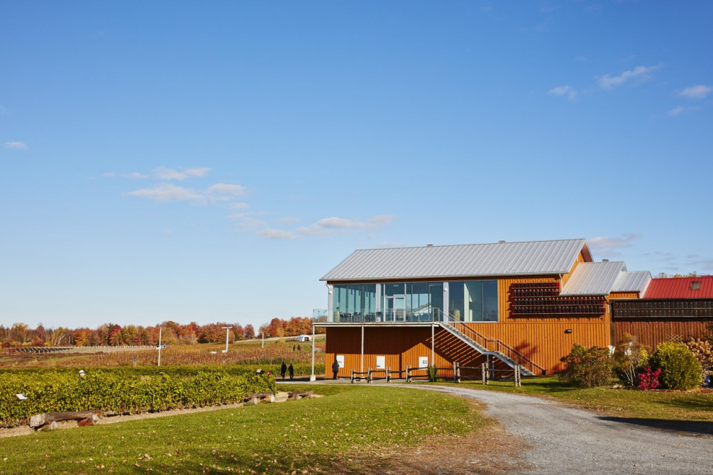 Vignoble de l'Orpailleur:
