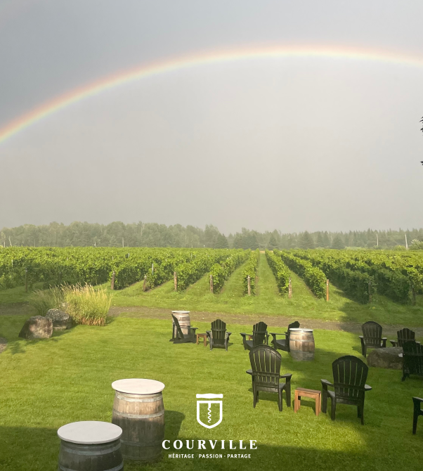 vignoble courville: