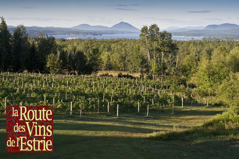La Route des Vins de l'Estrie