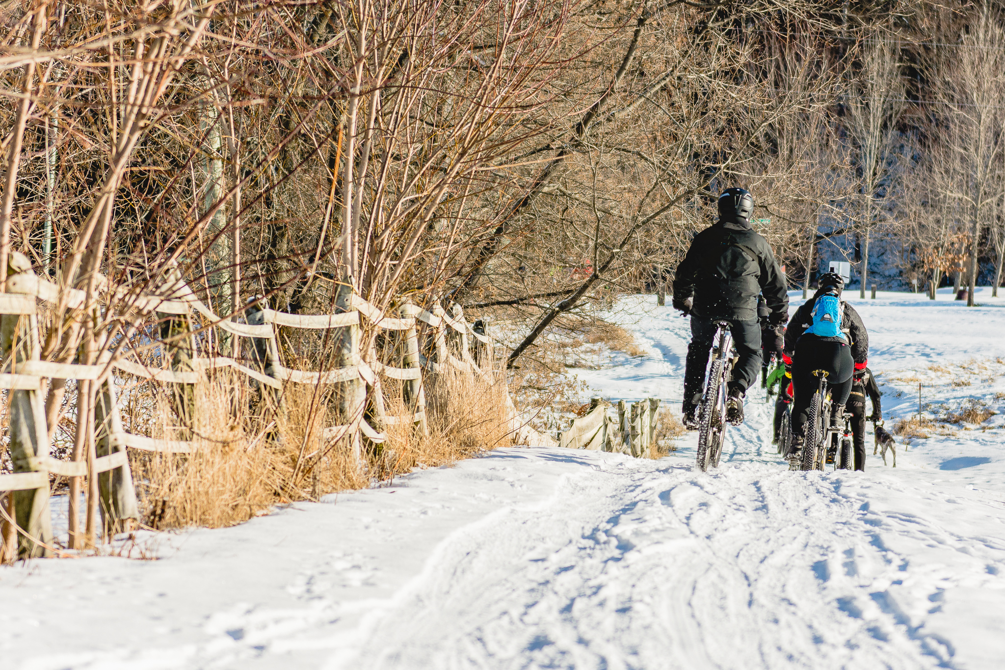 fatbike.jpg