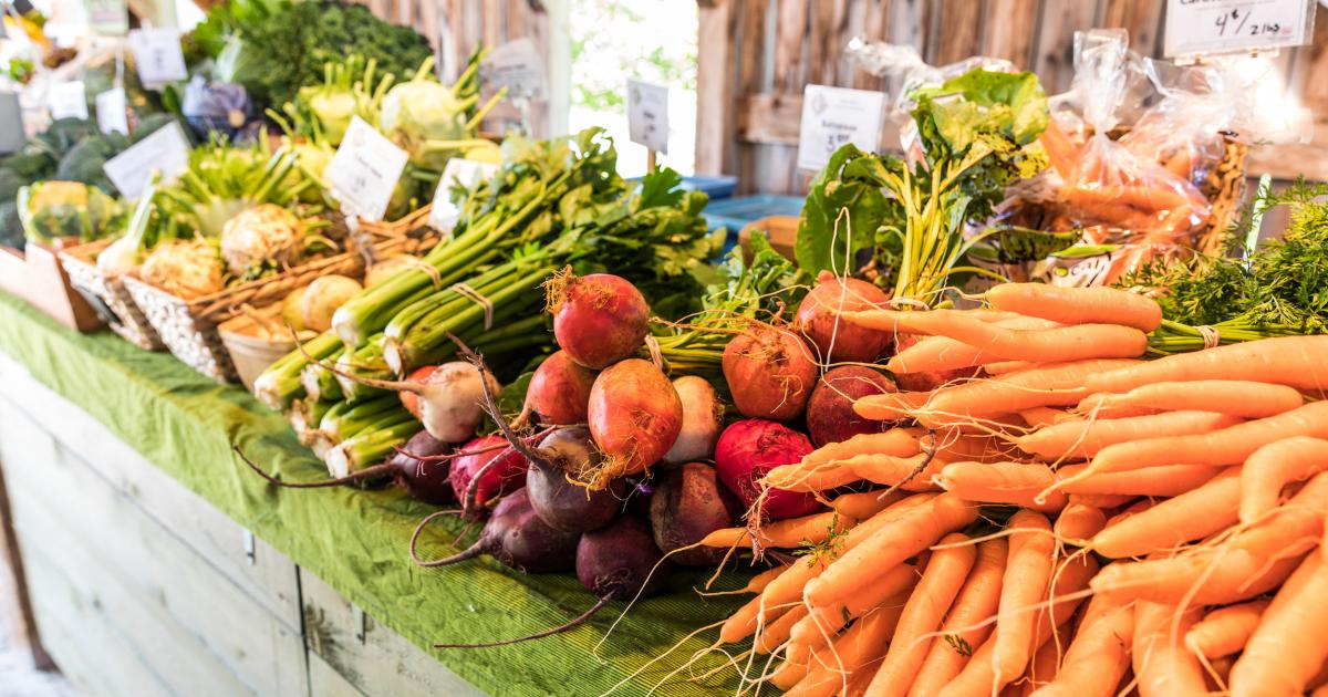 Pickyourown fruits and vegetables Eastern Townships (Québec)