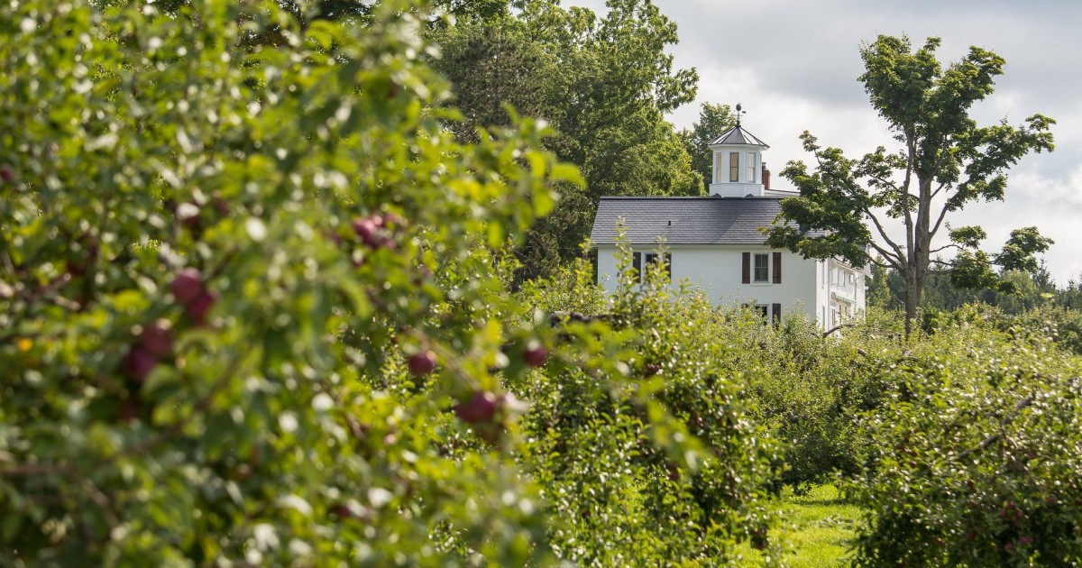 5 Things to Do in... Frelighsburg Eastern Towsnhips (Quebec)