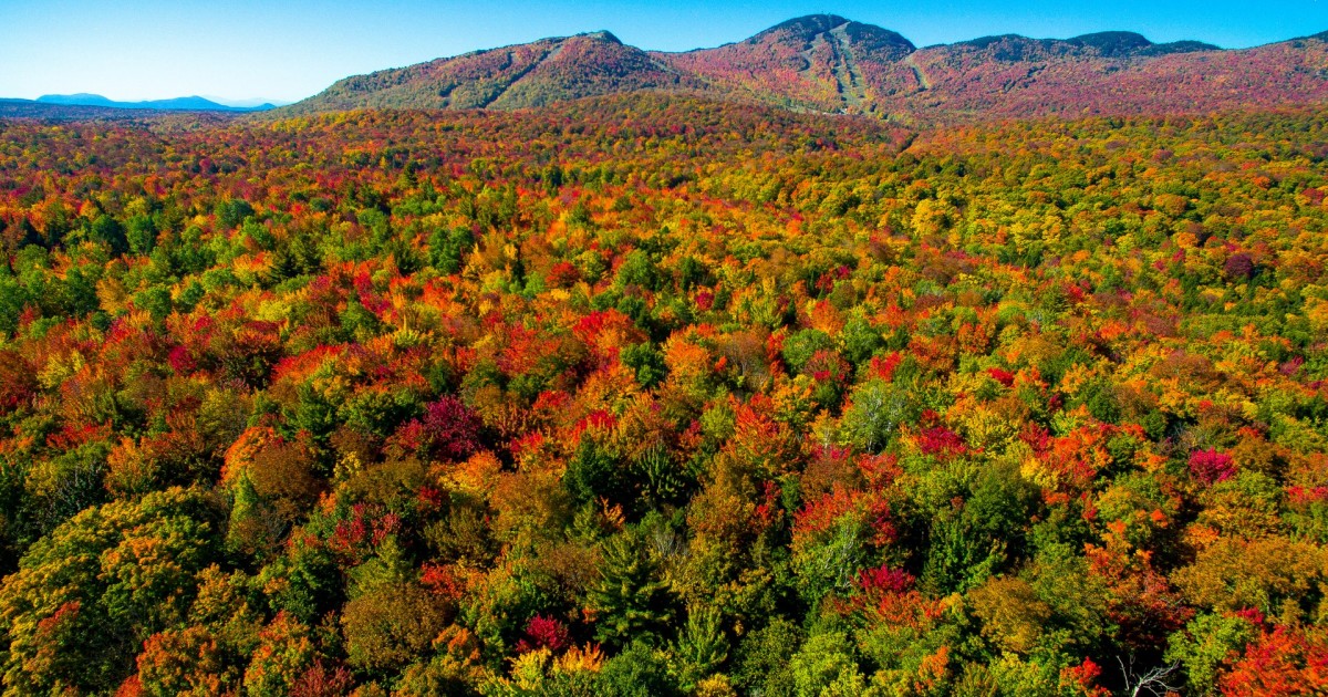 Where to celebrate fall in the Eastern Townships Eastern Townships